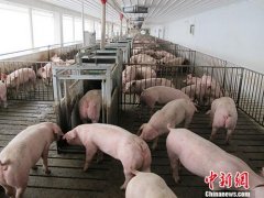不需落实占补平衡