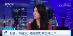 生猪生产现积极信号 过年过节如何保障“大口吃